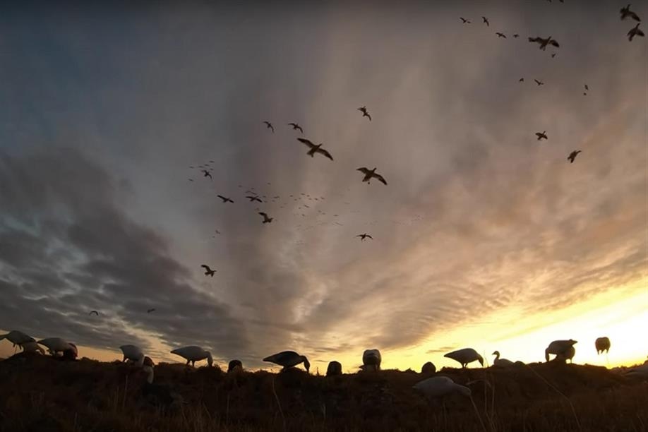 Prairie Rose Outfitters Inc.