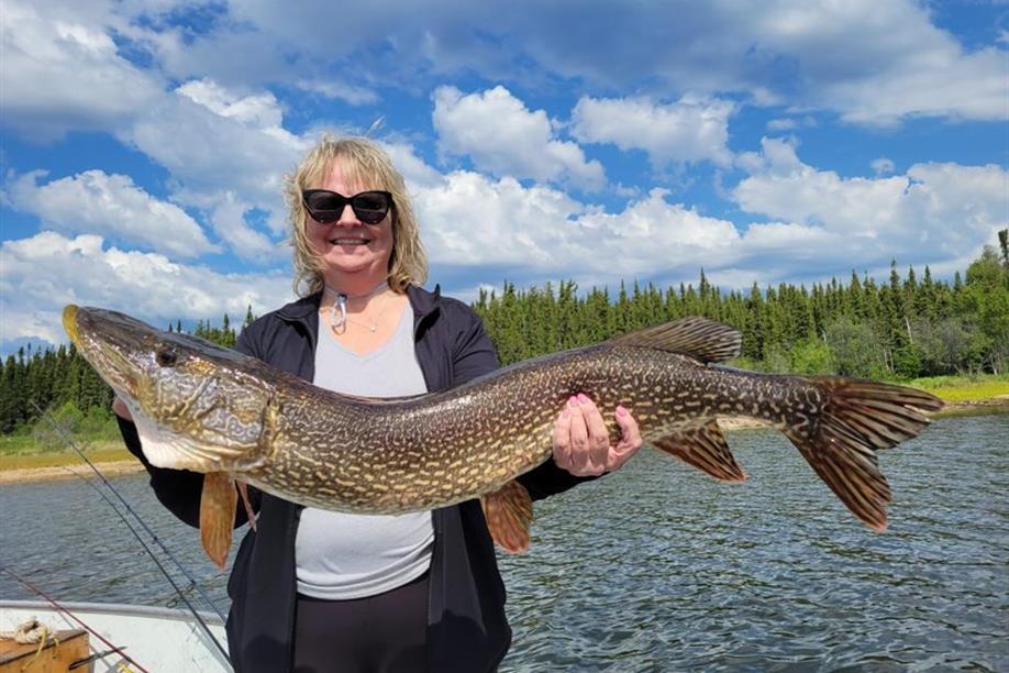 Reindeer Lake Trout Camp