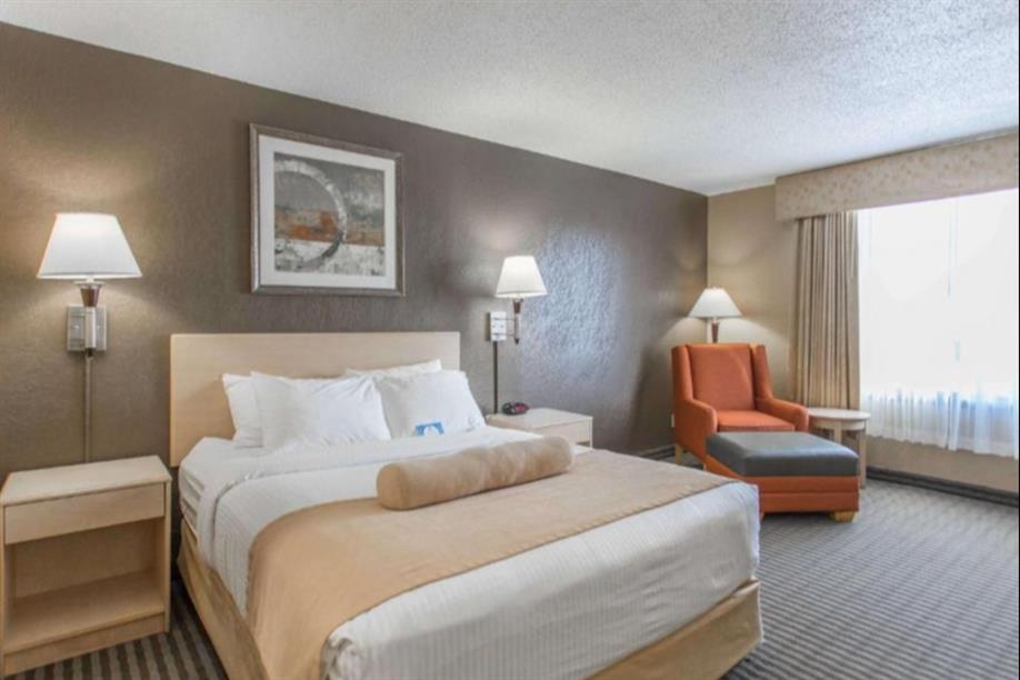 Seven Oaks Hotel - 1 Queen Bed