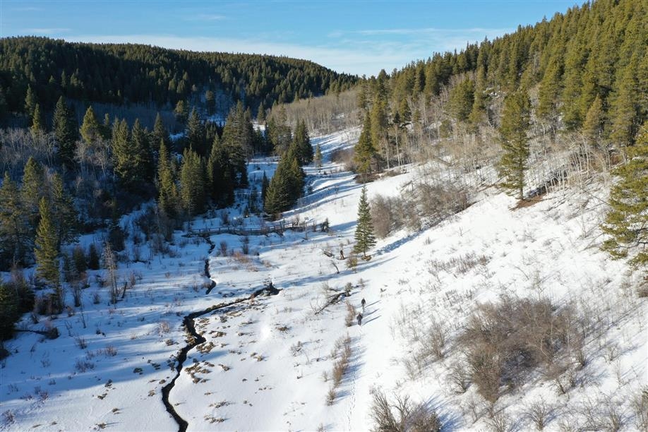 Cypress Hills Interprovincial Park Trails