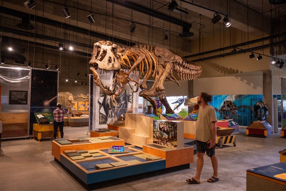 T.rex Discovery Centre