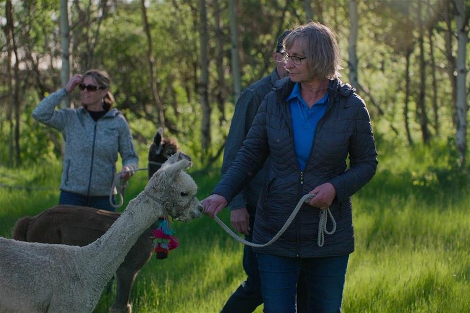 Tiger Lily Alpaca Ranch