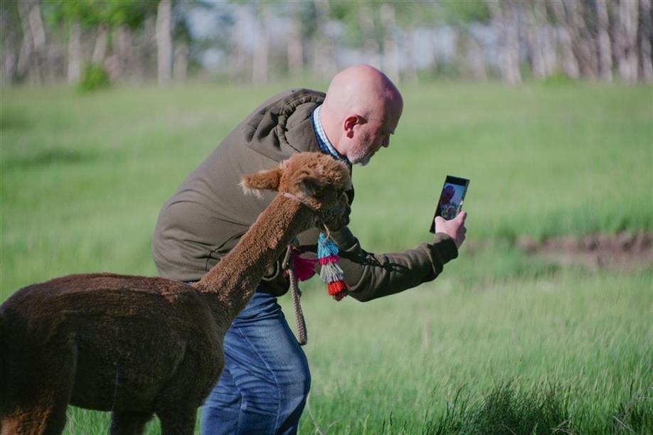 Tiger Lily Alpaca Ranch