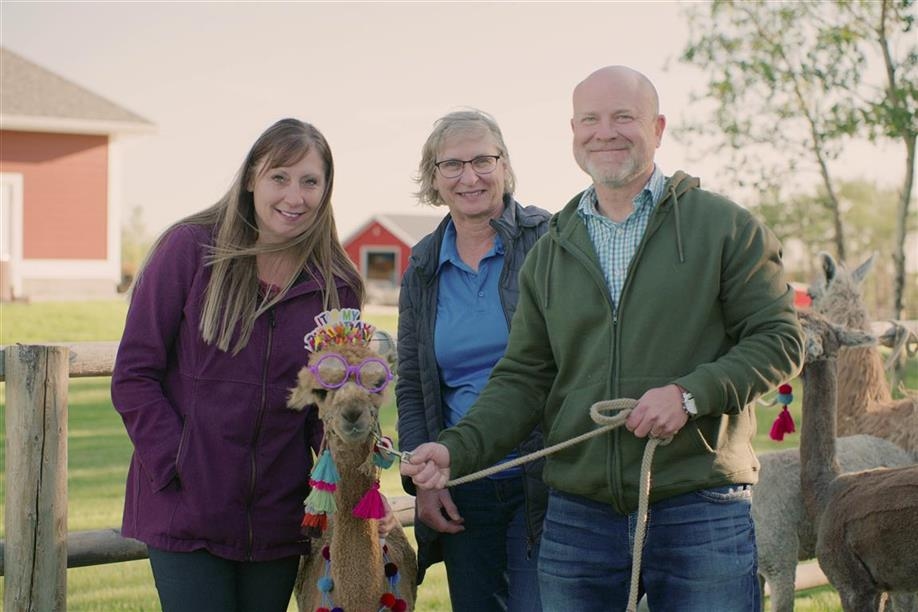 Tiger Lily Alpaca Ranch