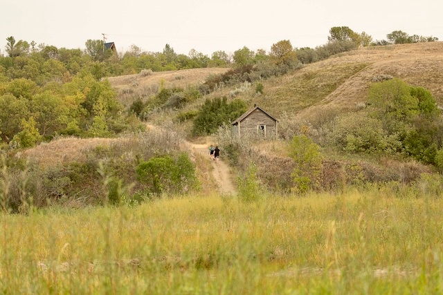 The Wild View