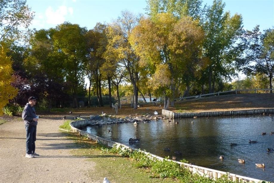 Waterfowl Display Ponds - Image: Kathy Rosenkranz