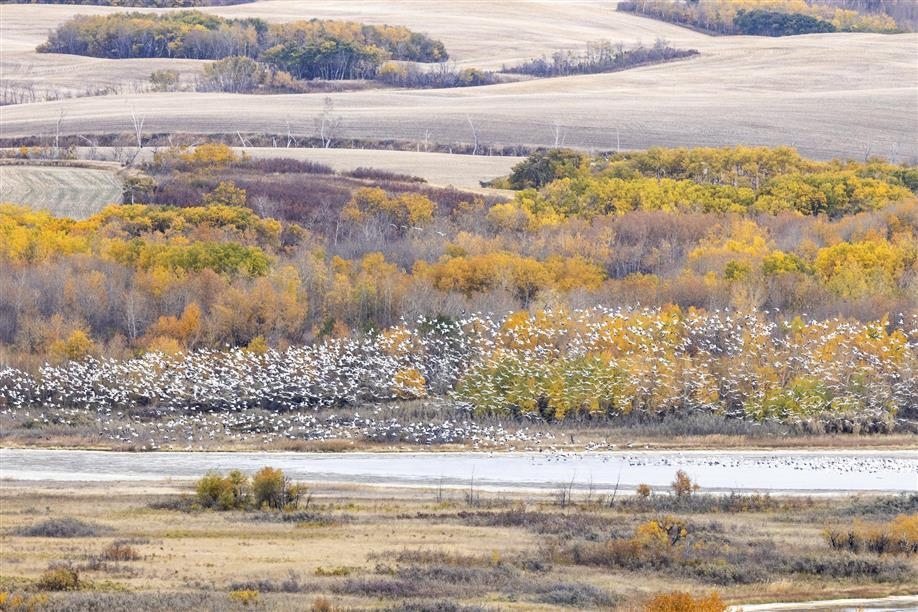 Redberry Lake Biosphere Region; Photo: Neil Zeller Photography