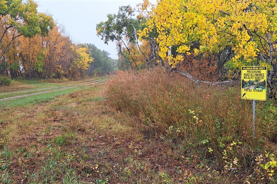 Yellowhead Flyway Birding Trail