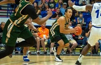 Saskatchewan Rattlers