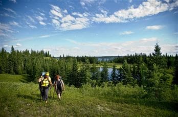 Meadow Lake Provincial Park Boreal Trail