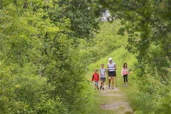 The Battlefords Provincial Park Trails