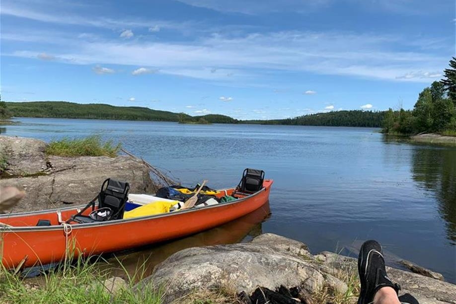 North Wild Life Camps