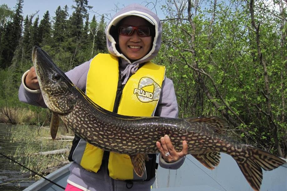 North Wild Life Camps