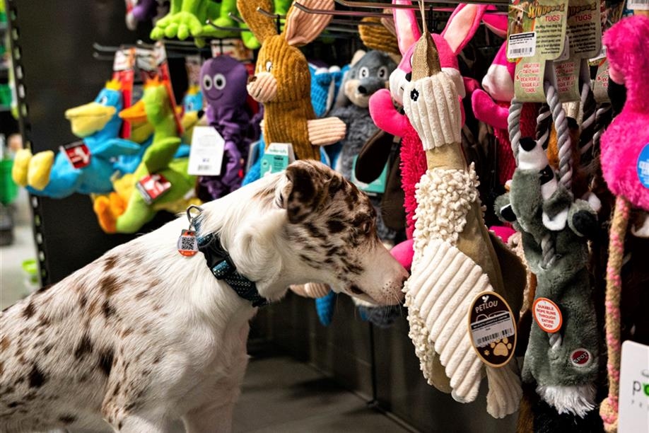 Wilson's Lifestyle Centre