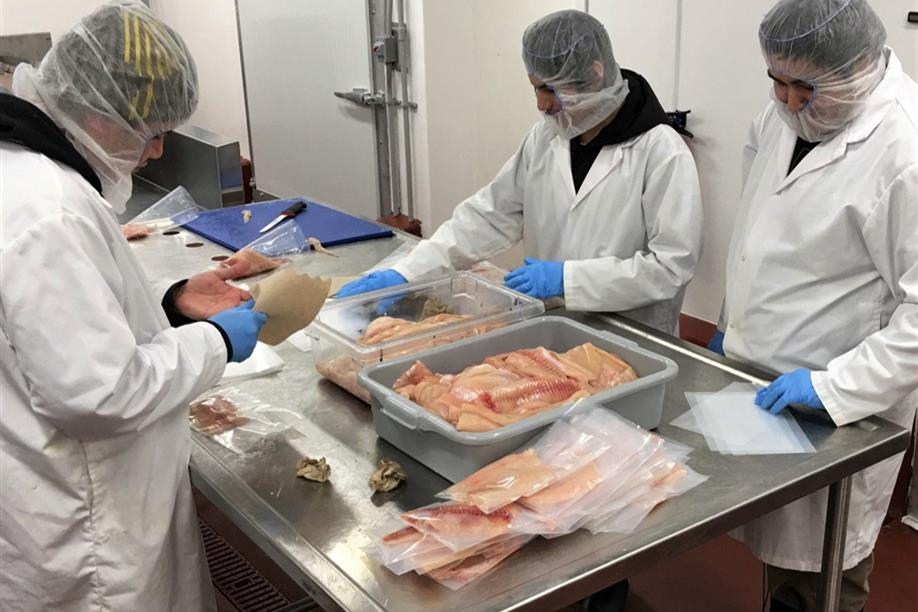 Île-à-la-Crosse Fish Company