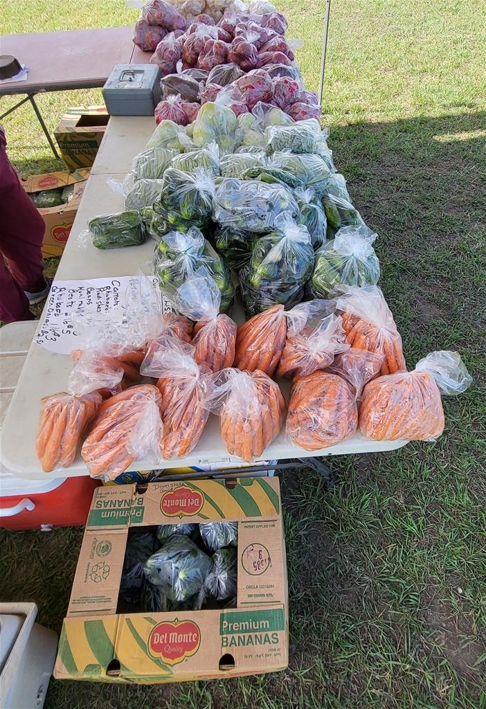 Wakamow Farmer's Market