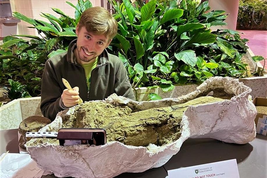 Museum of Natural Sciences