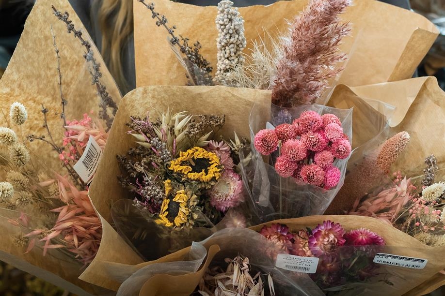 Wilson's Lifestyle Centre