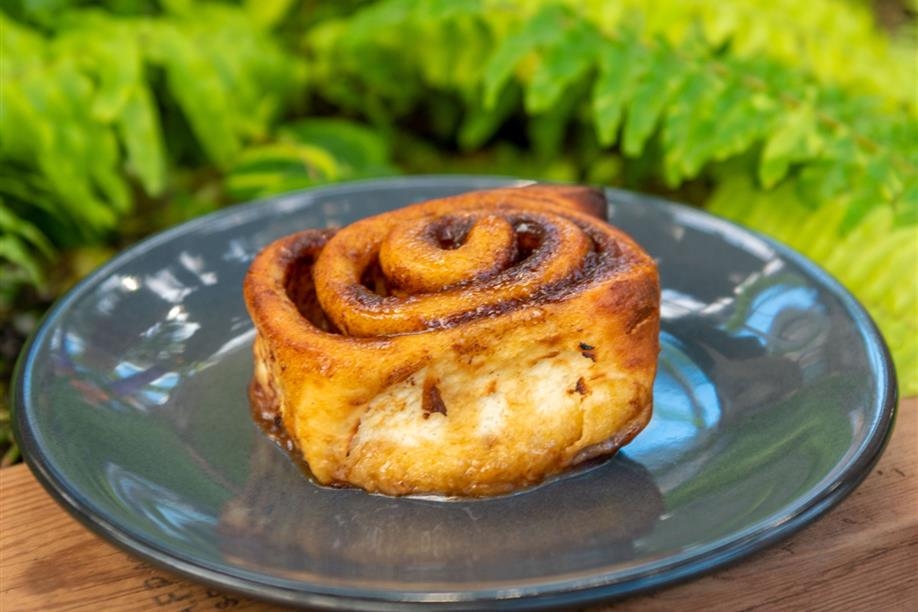 Wilson's Lifestyle Centre