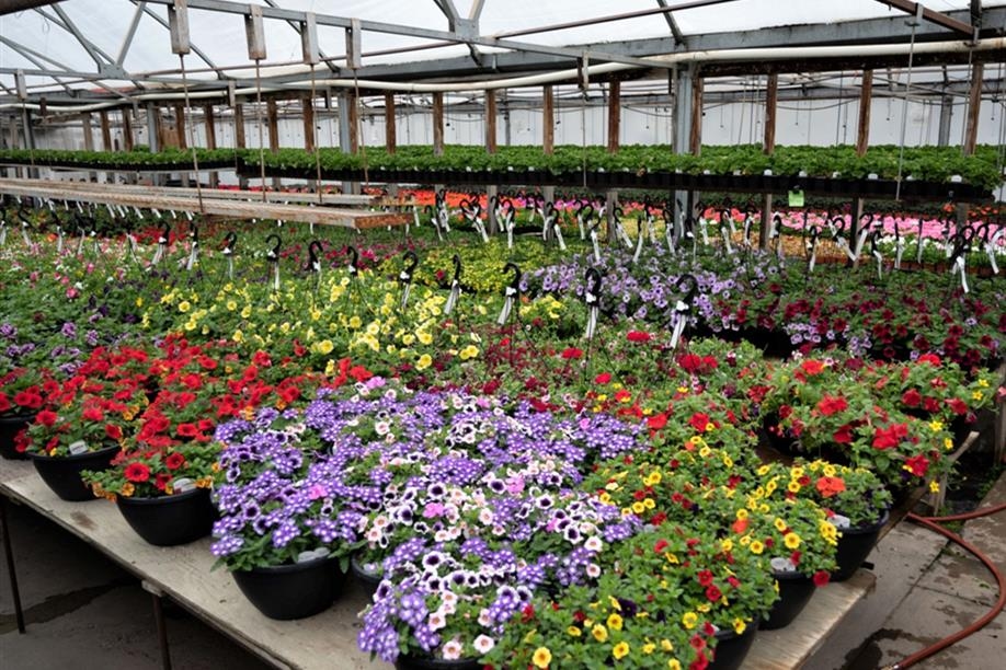 Wilson's Lifestyle Centre