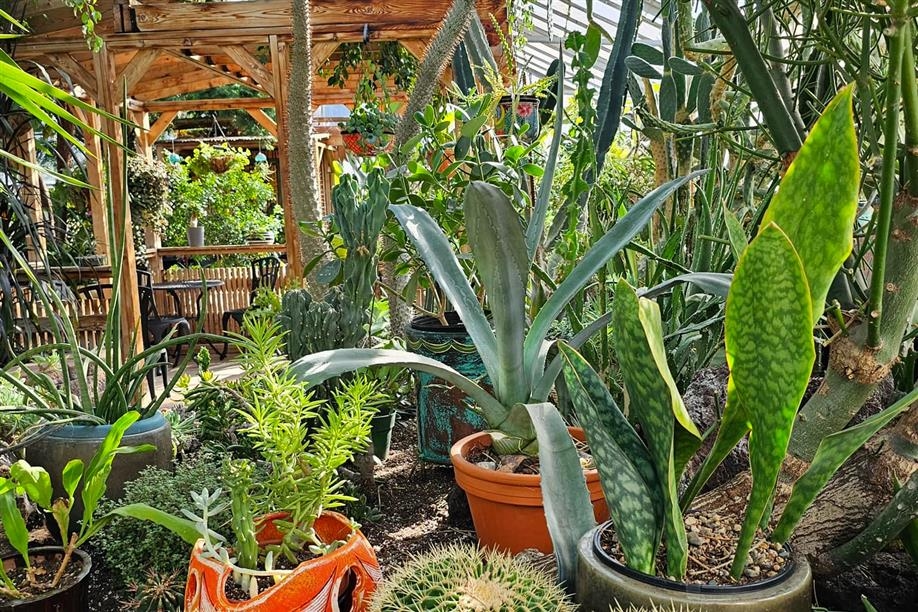 Regina Floral Conservatory