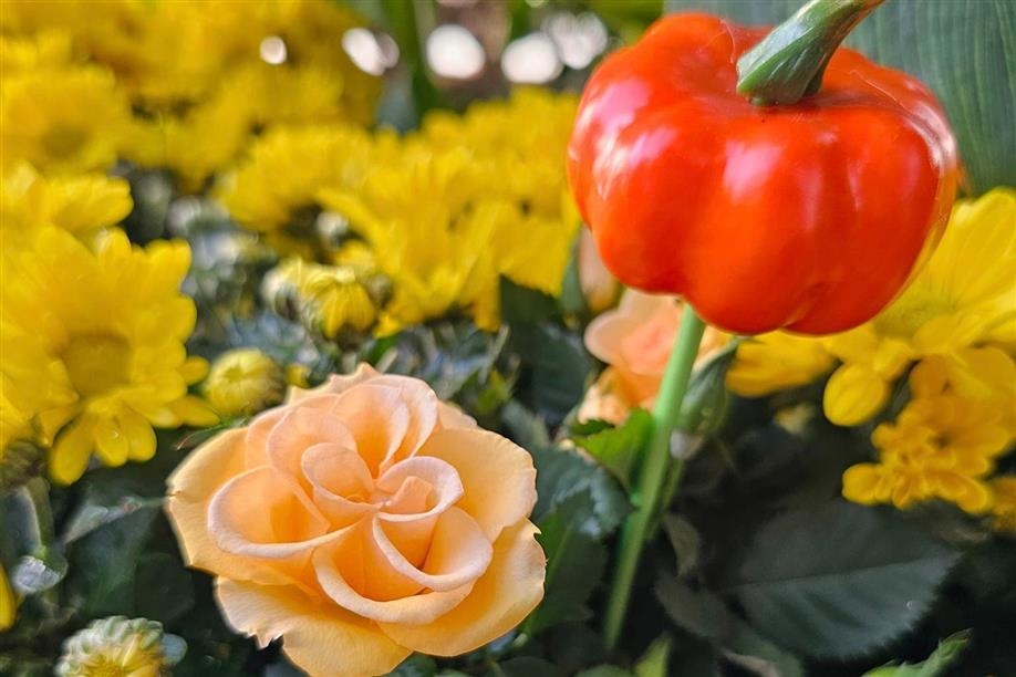 Regina Floral Conservatory