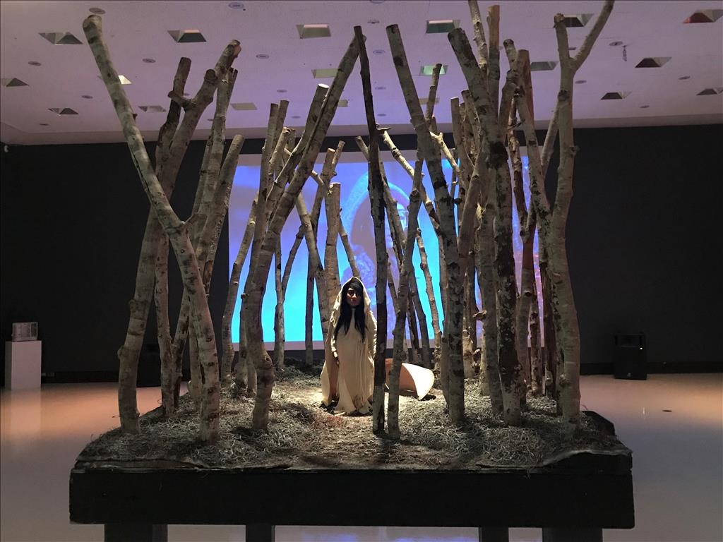 Art Gallery of Swift Current