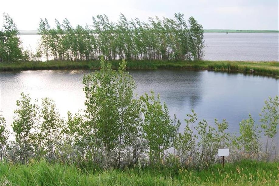 Antelope Lake Regional Park