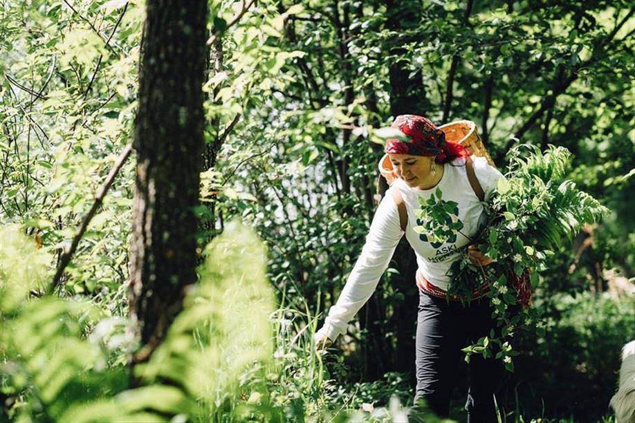 Aski Holistic Adventures