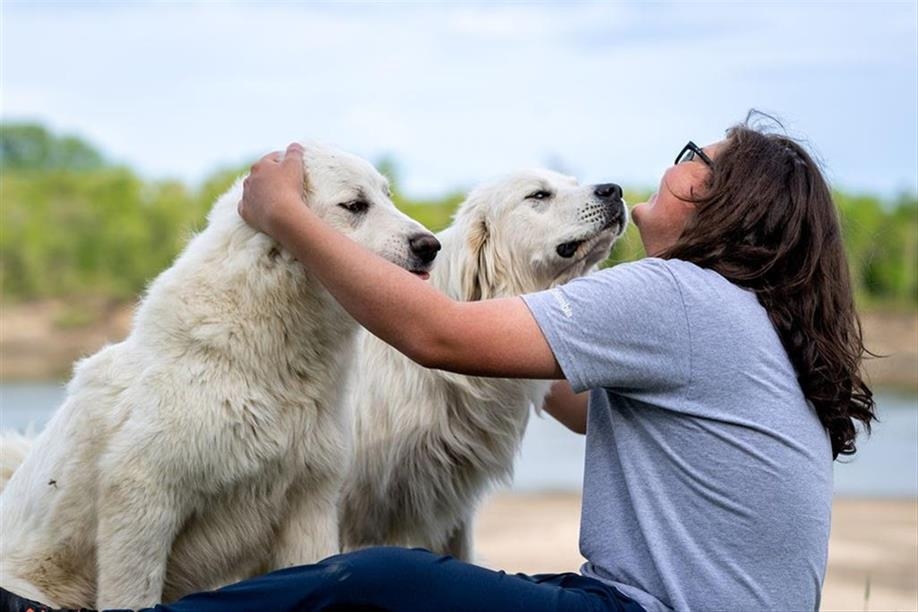 Aski Holistic Adventures