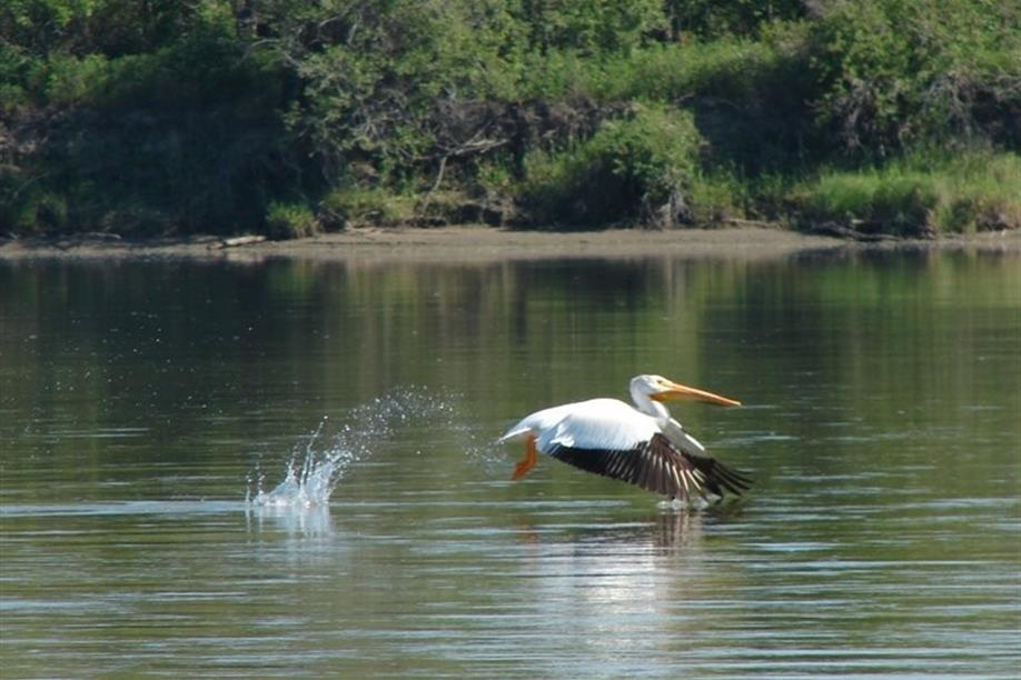 Battlefords Geology Tour
