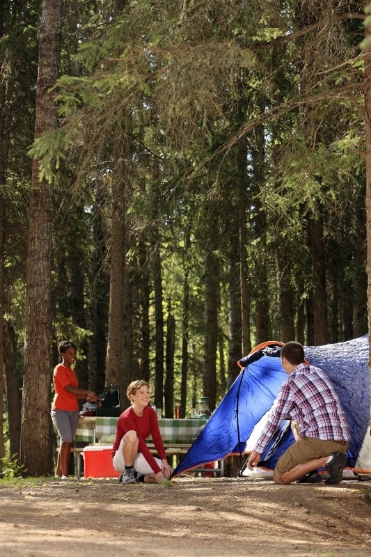 Beaver Glen Campground