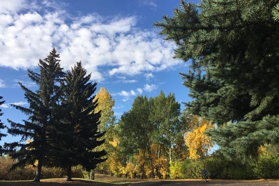 Besant Trans-Canada Campground