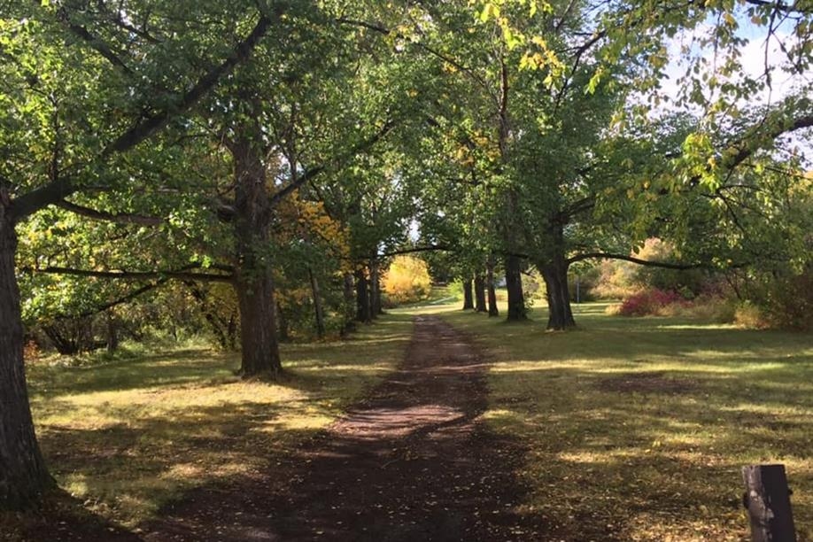 Besant Trans-Canada Campground