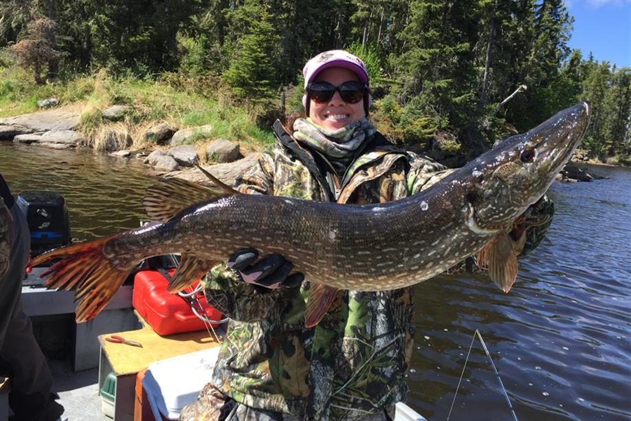 Black Bear Island Lodge