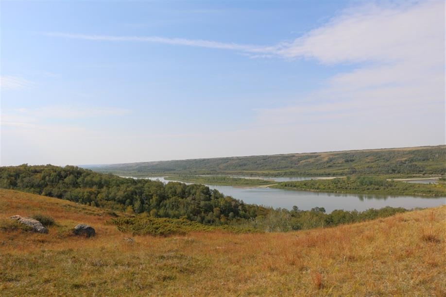 Blue Sky Berries - Grandma's House