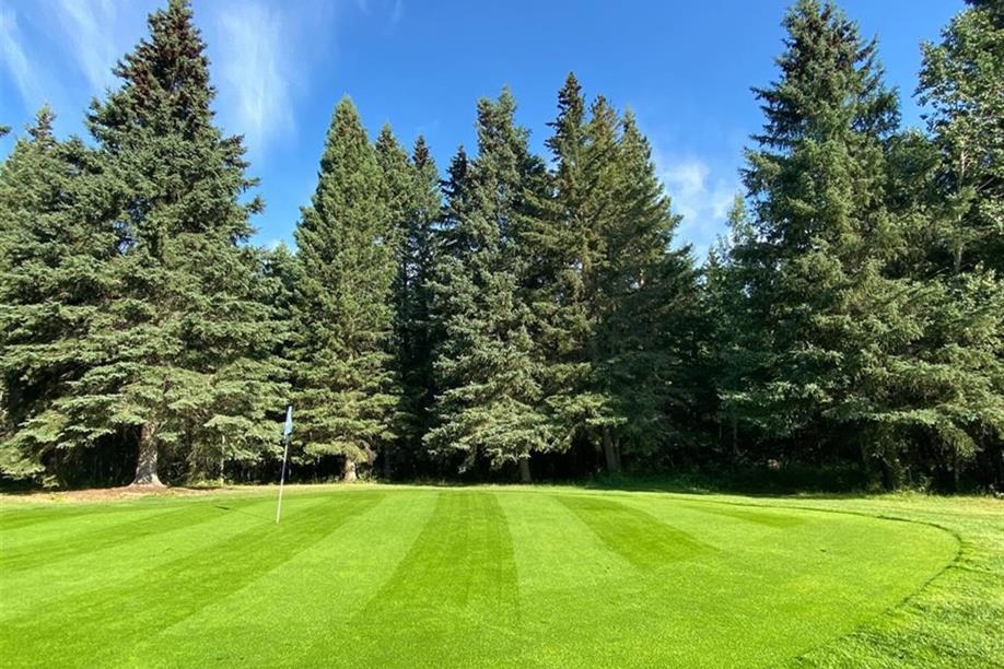 Blueberry Hill Golf Course