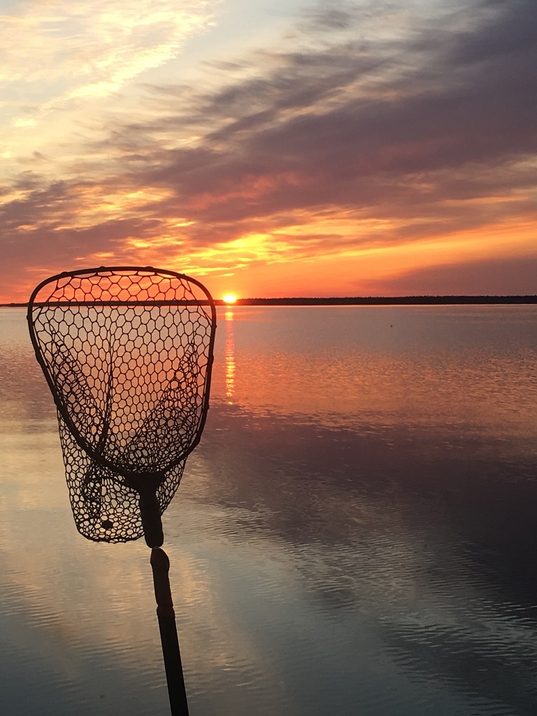 Carrot River: Saskatchewan's Outback