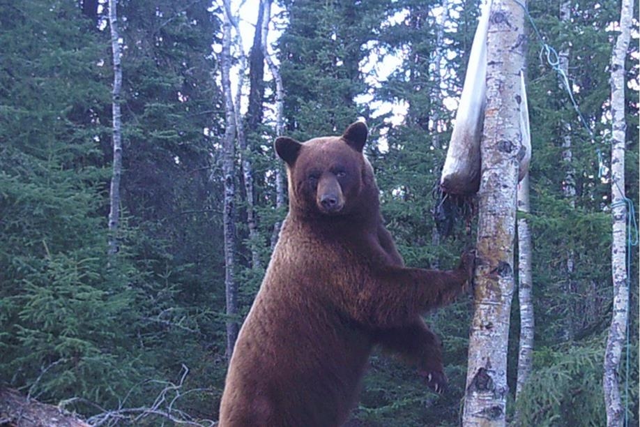 Churchill Lake Outfitting