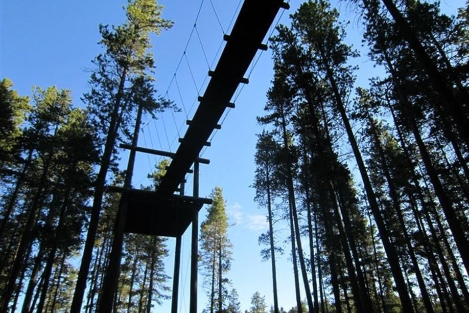 Treeosix Adventure Parks - Cypress Hills