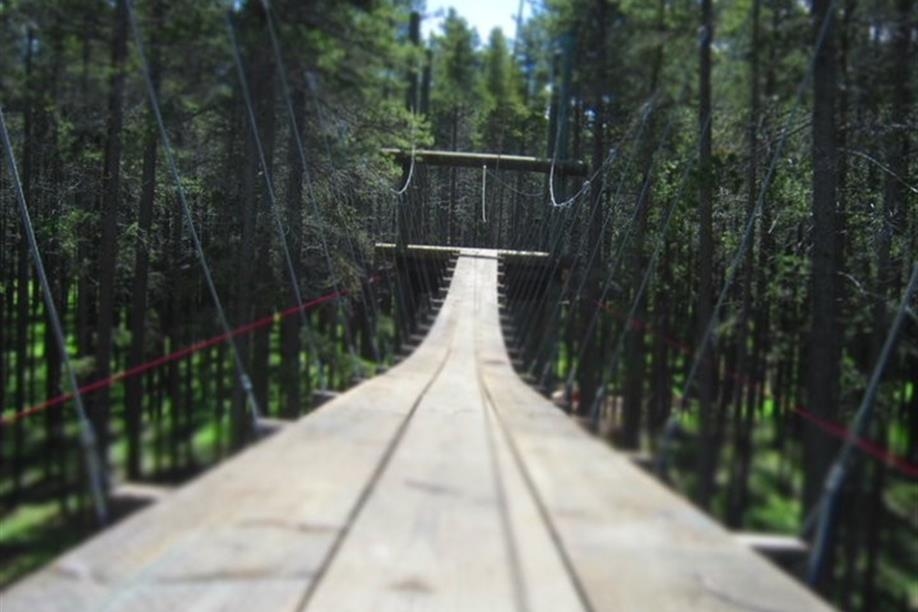 Treeosix Adventure Parks - Cypress Hills