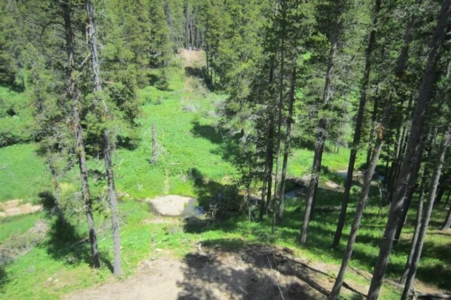 Treeosix Adventure Parks - Cypress Hills