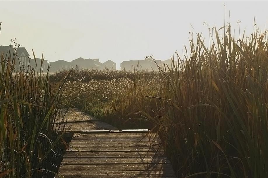 Amidst the tall wetland plants of McKell Wascana Conservation Park, you can almost forget you’re in the City of Regina.