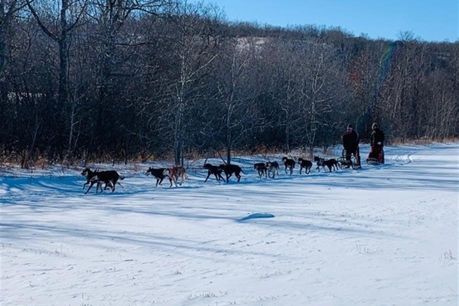 Eagle Ridge Dog Sled Tours