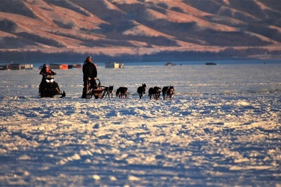 Eagle Ridge Dog Sled Tours Ltd.
