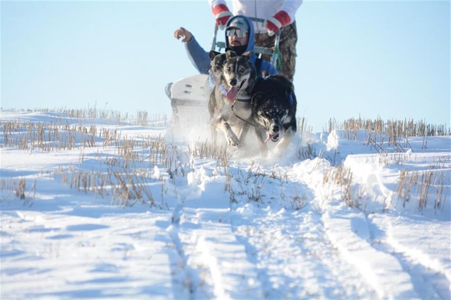 Eagle Ridge Dog Sled Tours
