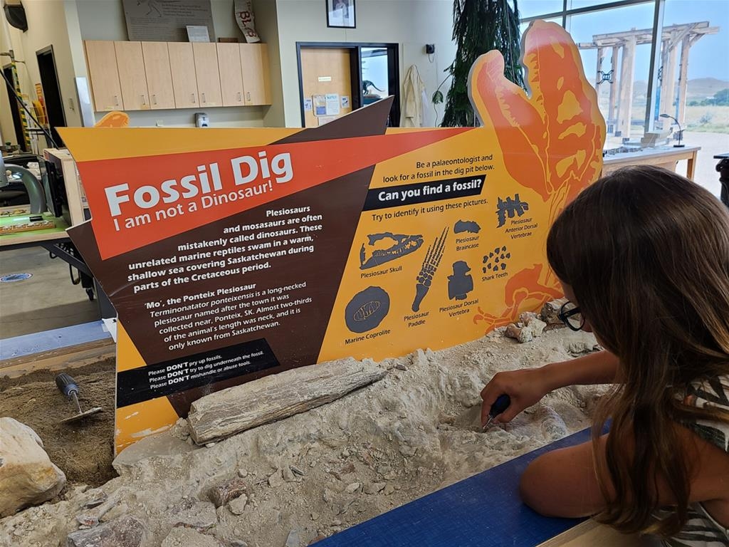 Eastend - T.rex Discovery Centre Paleo Lab