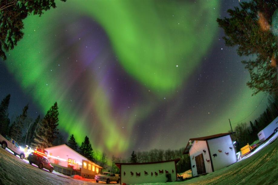 Enjoy specatacular views of the northern lights at Fir River Ranch