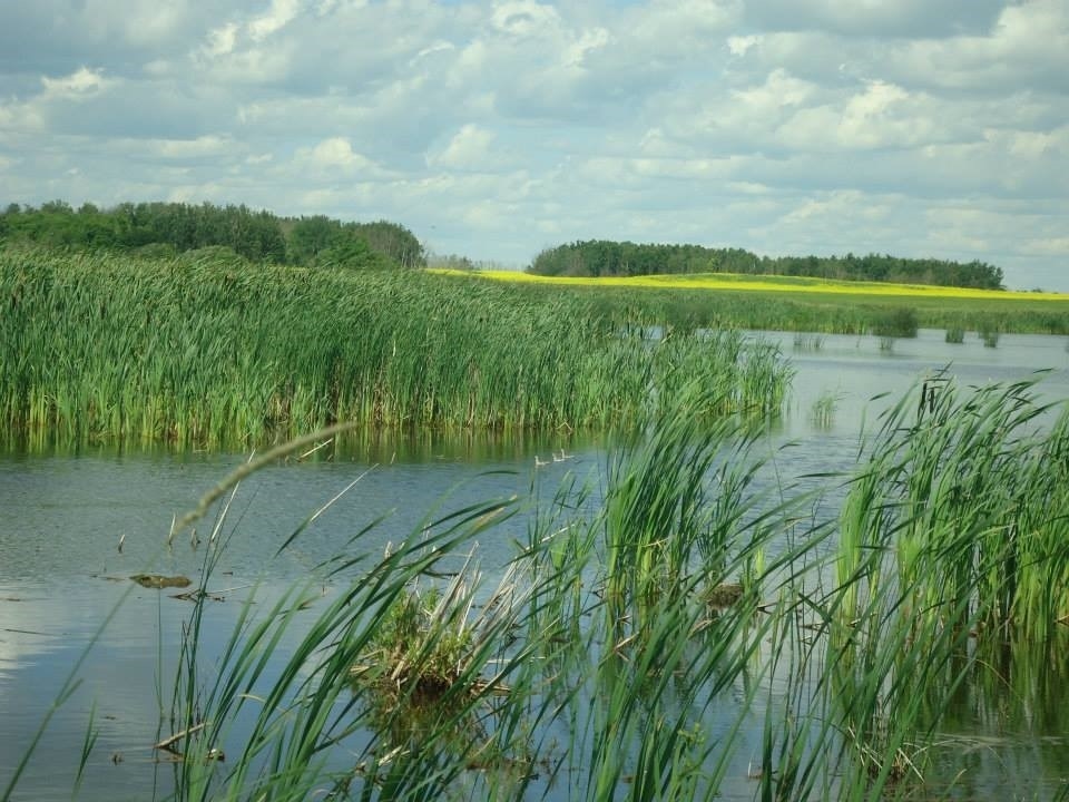 Foam Lake Heritage Marsh and Foam Lake Nature Centre