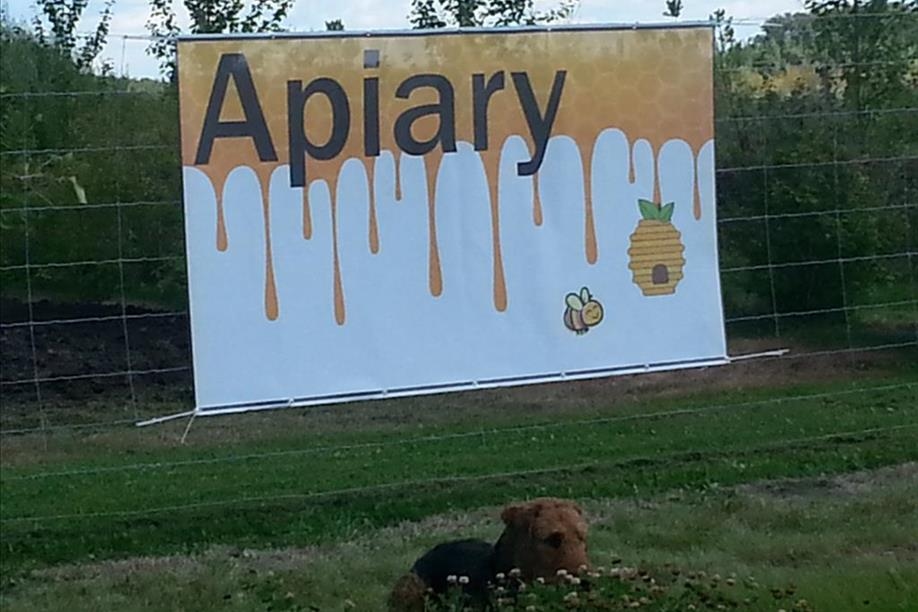 Forest Fringe Orchards